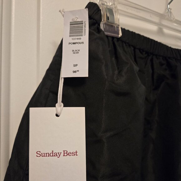 Aritzia Sunday Best Pompous Skirt | Article #107449 | Size S | NWT - Picture 2 of 5